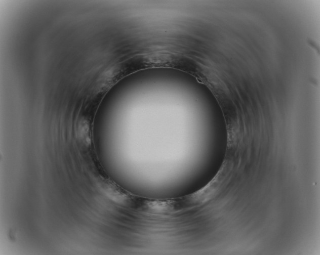 X0000097790187200803141837