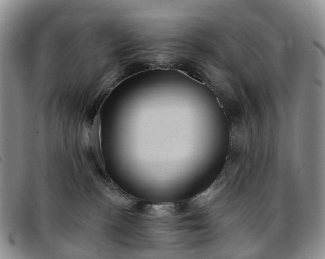X0000097790188200803141837