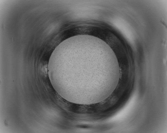 X0000097790190200803141837