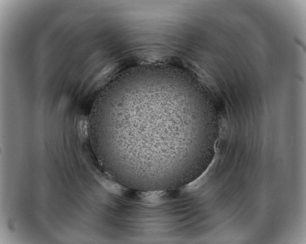 X0000097790191200803141837