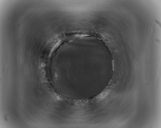 X0000097790192200803141837