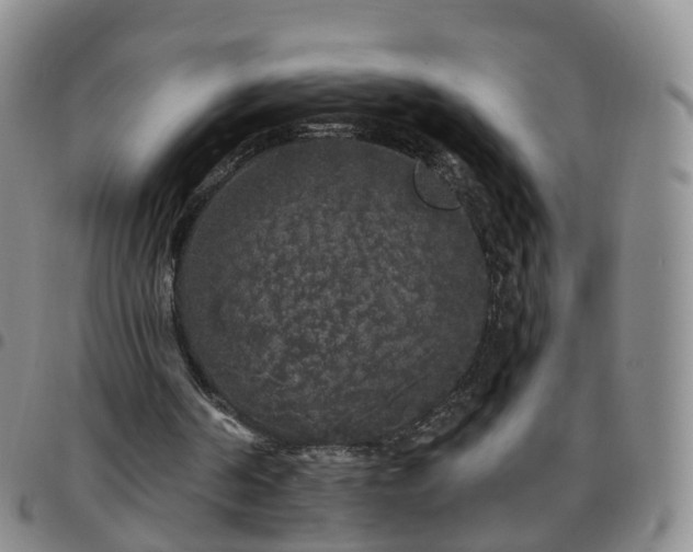 X0000097790194200803141837