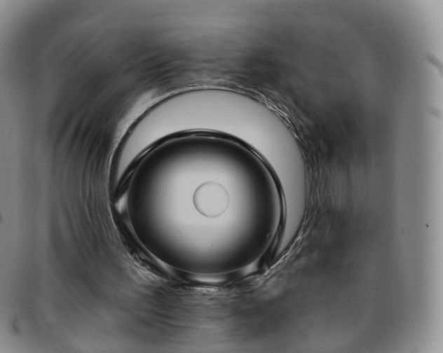 X0000097790195200803141837