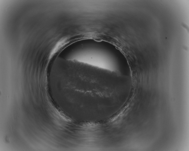 X0000097790198200803141837
