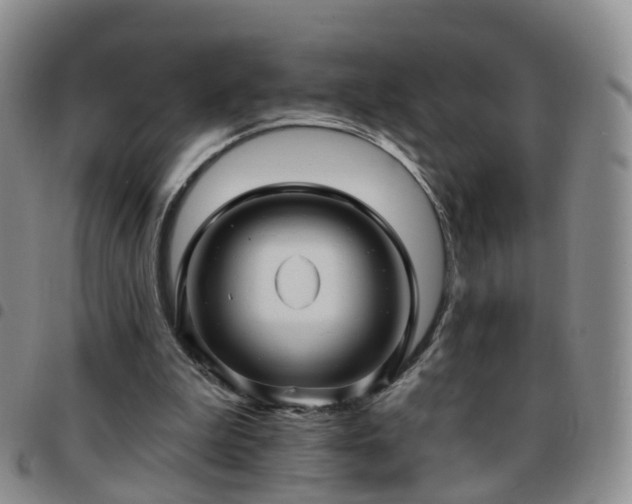 X0000097790199200803141837