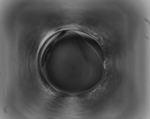 X0000097790200200803141837