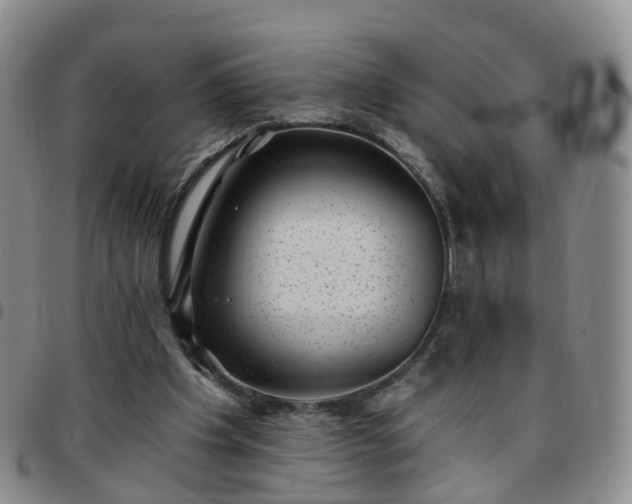 X0000097790201200803141837