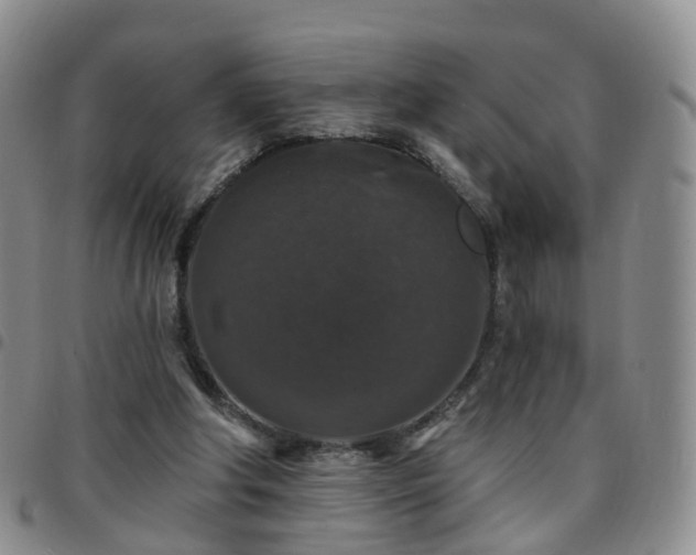X0000097790202200803141837