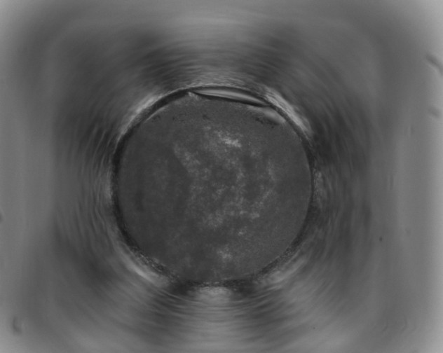 X0000097790203200803141837