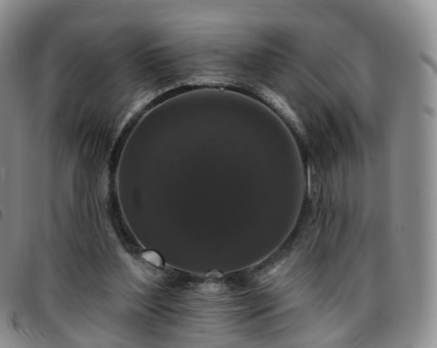 X0000097790204200803141837