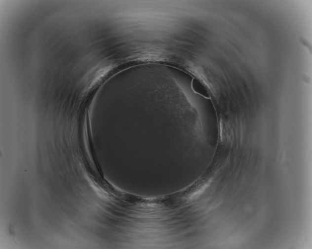 X0000097790205200803141837