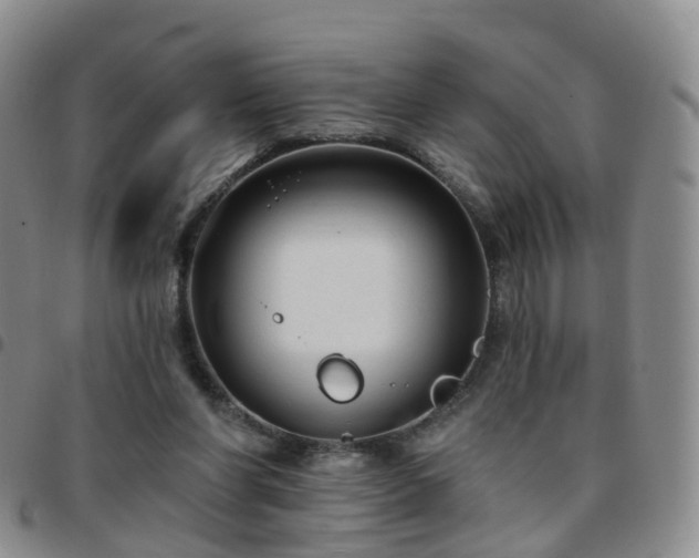 X0000097790206200803141837