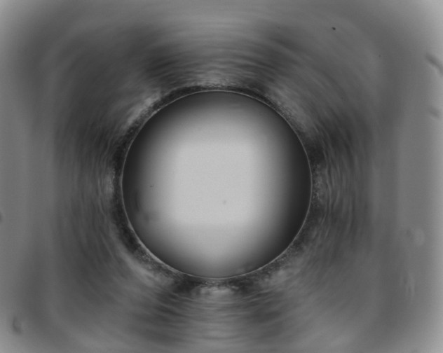 X0000097790208200803141837