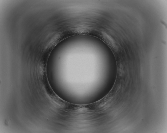 X0000097790210200803141837