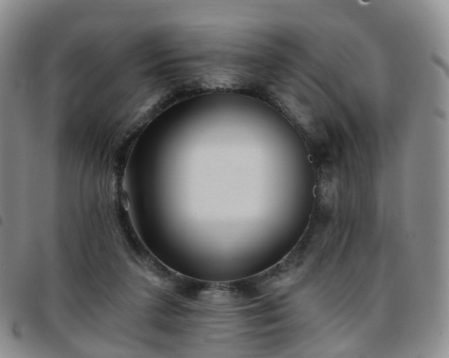 X0000097790211200803141837