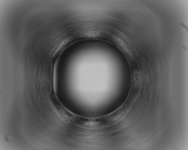 X0000097790212200803141837