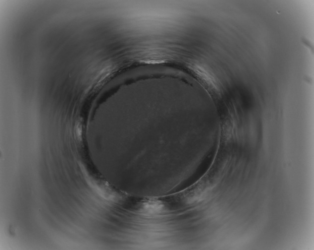 X0000097790214200803141837