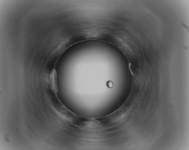 X0000097790215200803141836