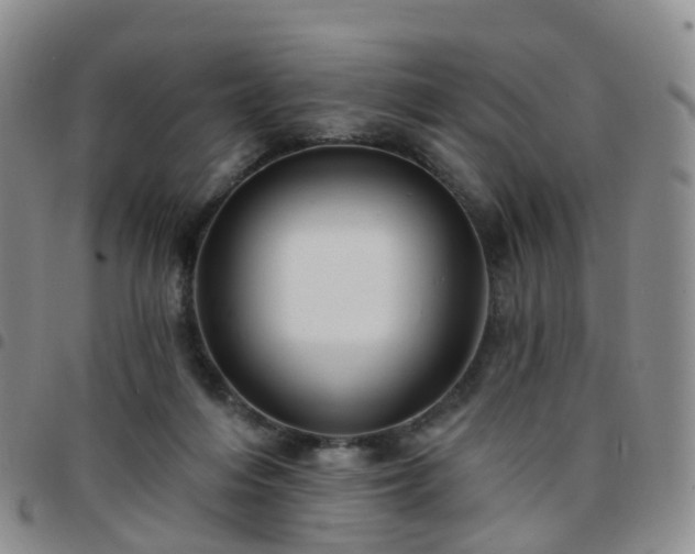 X0000097790216200803141836