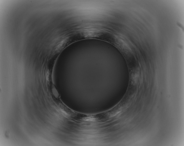 X0000097790219200803141836