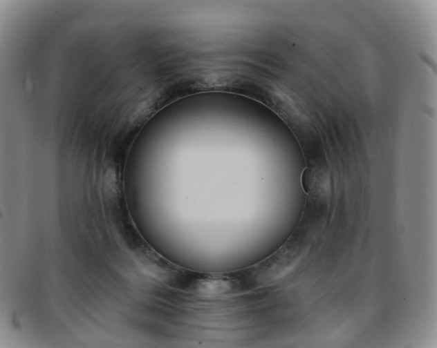 X0000097790220200803141836