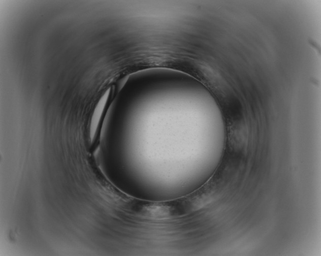 X0000097790221200803141836