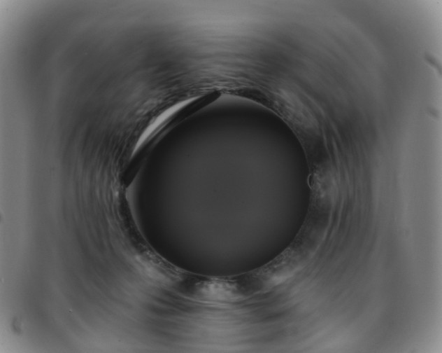 X0000097790223200803141836