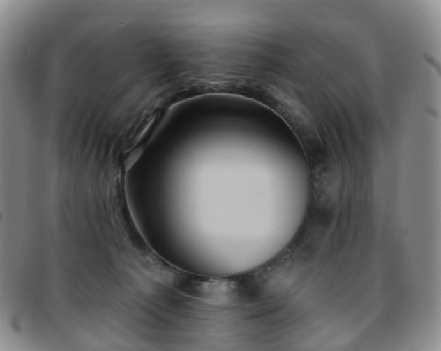 X0000097790225200803141836