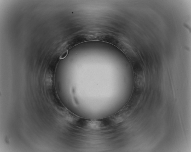 X0000097790226200803141836