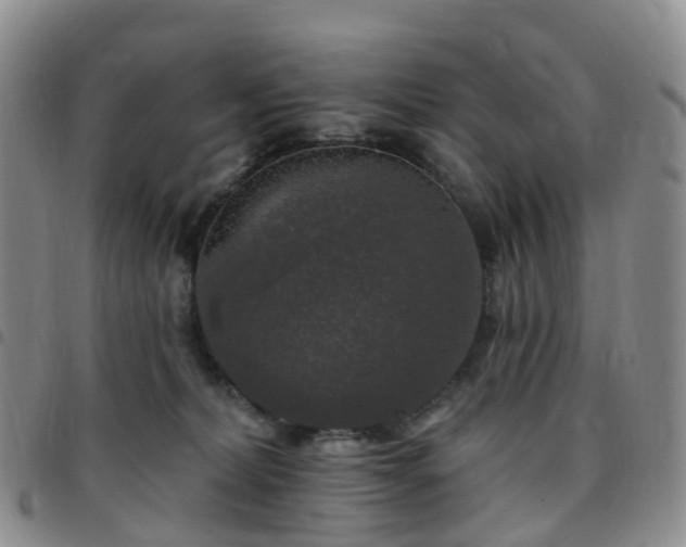 X0000097790228200803141836