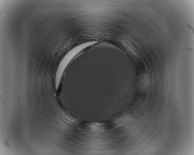 X0000097790229200803141836