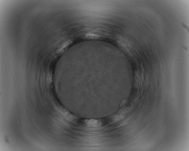 X0000097790230200803141836