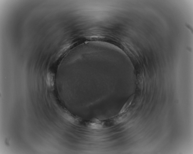X0000097790232200803141836