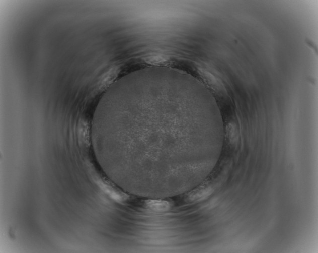 X0000097790234200803141836