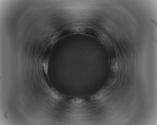 X0000097790235200803141836