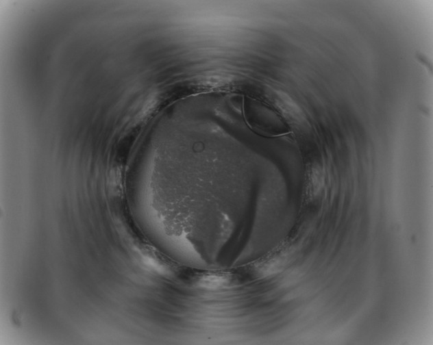 X0000097790236200803141836