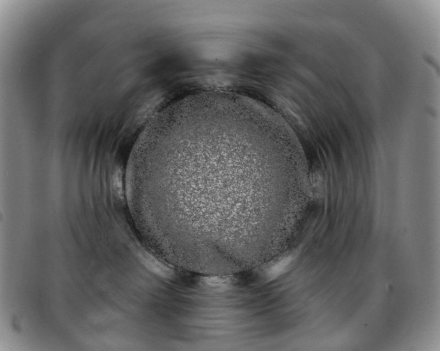 X0000097790238200803141836