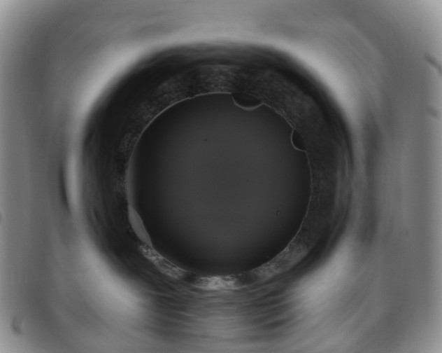 X0000097790239200803141836