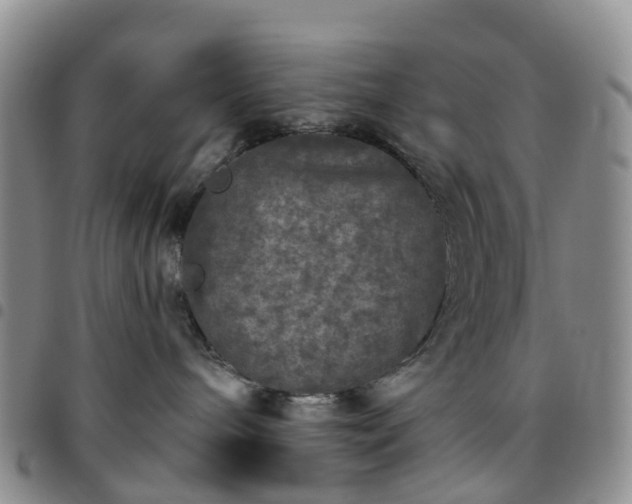 X0000097790240200803141836