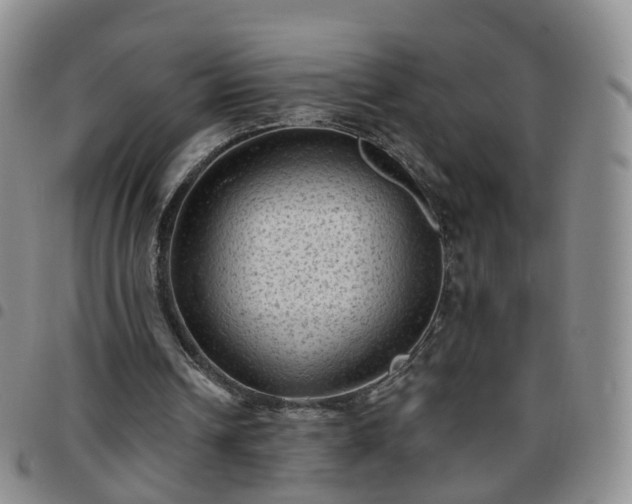 X0000097790242200803141835