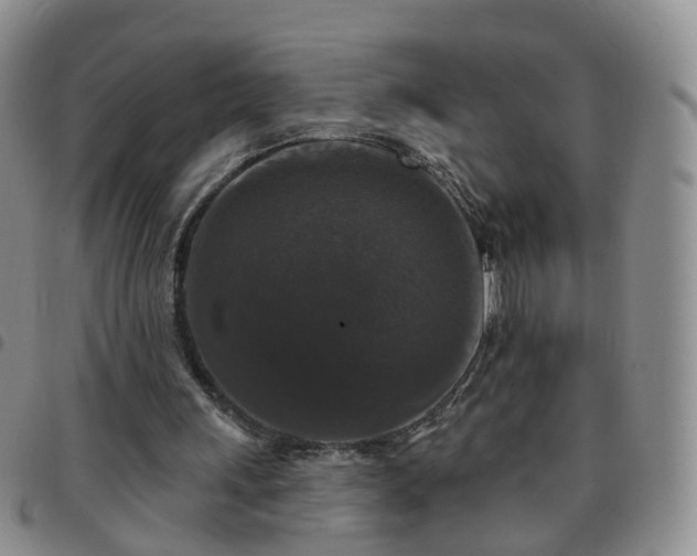 X0000097790243200803141835