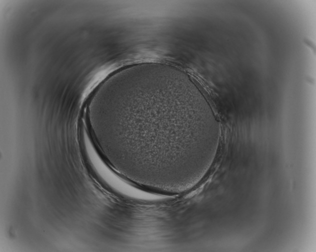 X0000097790244200803141835