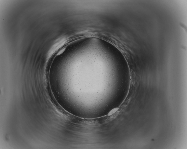 X0000097790245200803141835