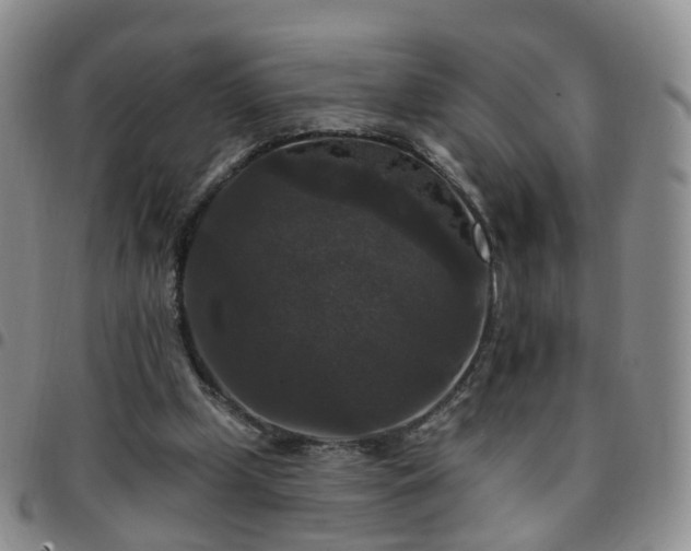 X0000097790249200803141835