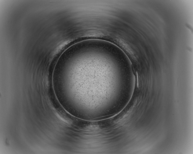 X0000097790252200803141835