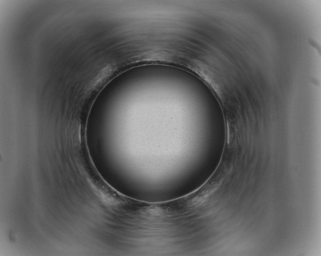 X0000097790253200803141835