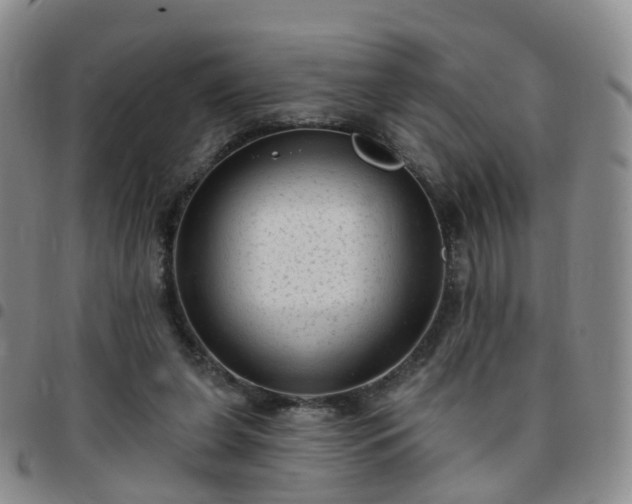 X0000097790255200803141836