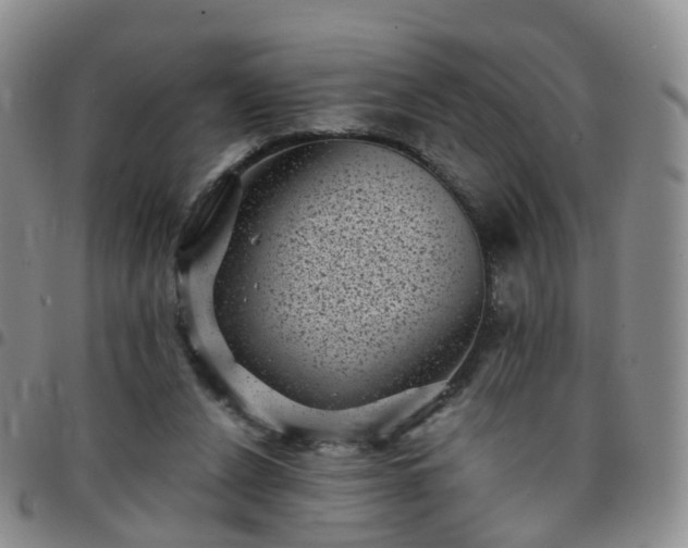 X0000097790256200803141836