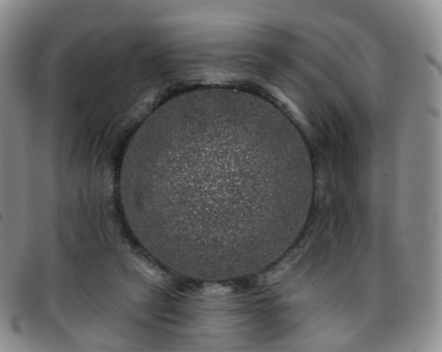 X0000097790257200803141836