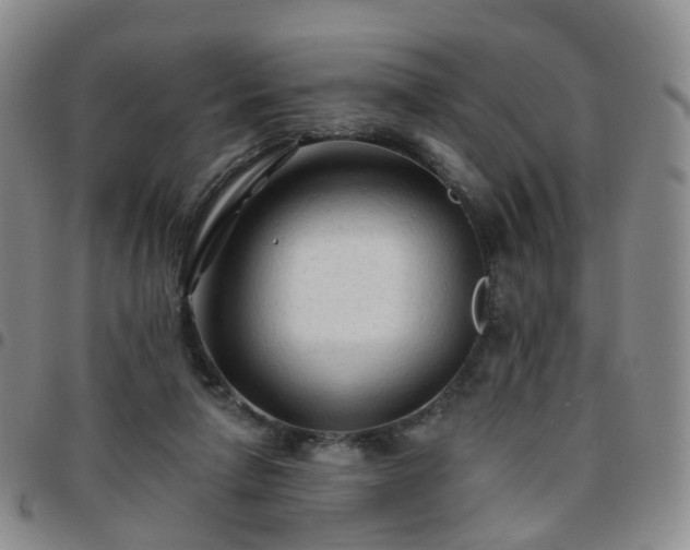 X0000097790258200803141836